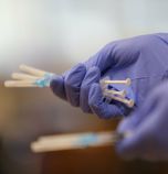 Съдът в Германия одобри задължителната ваксинация срещу COVID-19 на здравните служители