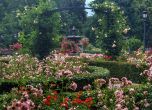Розариумът в Борисовата градина на София
