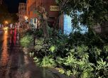 Силна буря затвори улици в Сандански, спря тока на много места в Мелник