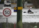 Мъж плава по улица в Сидни, Австралия