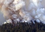Пожар застрашава най-големите дървета в света