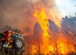 Смъртоносни жеги и пожари в Европа: стотици жертви, хиляди евакуирани