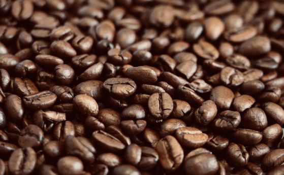 НАП спря внос на кафе, маскирано като музикални инструменти