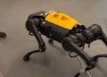 Куче-робот, което има собствен инстинкт как да тича, да се търкаля и да заобикаля препятствия (видео)