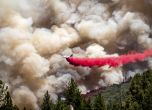 15 603 акра гора в Калифорния са изпепелени, пожарът е неуправляем