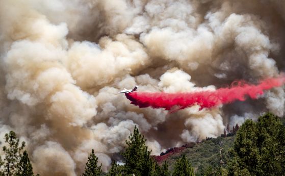 Бързо разпространяващият се горски пожар в Калифорния САЩ е изпепелил