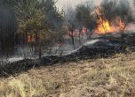 Два военни хеликоптера гасят пожара край Елшица