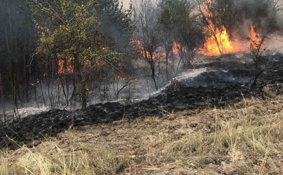 Два военни хеликоптера гасят пожара край Елшица