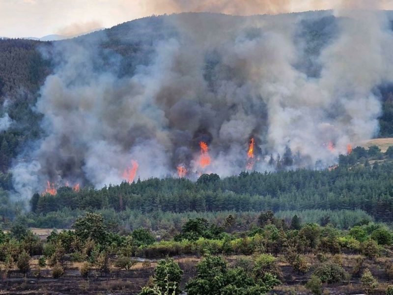 Пожарът край панагюрското село Елшица все още не е овладян.