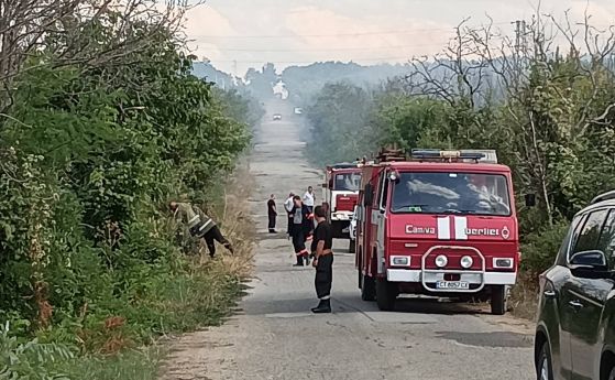 Пожарът в Сакар планина - между трите села Полски градец, Светлина и Мъдрец, Старозагорско. 