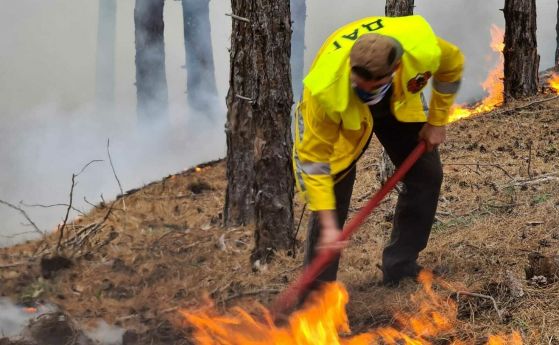 Частично бедствено положение в общините Любимец и Харманли заради голям пожар