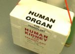 Българска връзка в схема за незаконни трансплантации в Япония