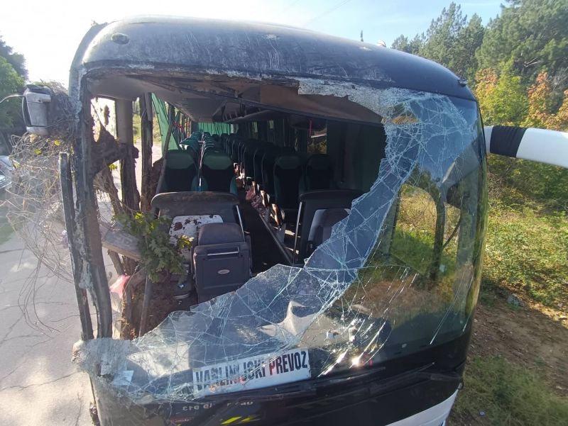 Двете деца, които пострадаха тежко при катастрофата със сръбския автобус