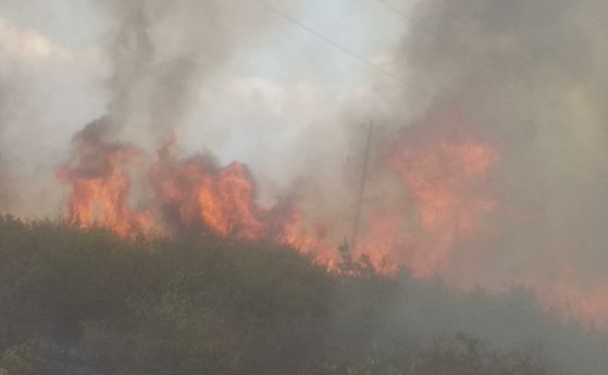 Пожар избухна в шести център от птицекомбината в село Мраморен Трима