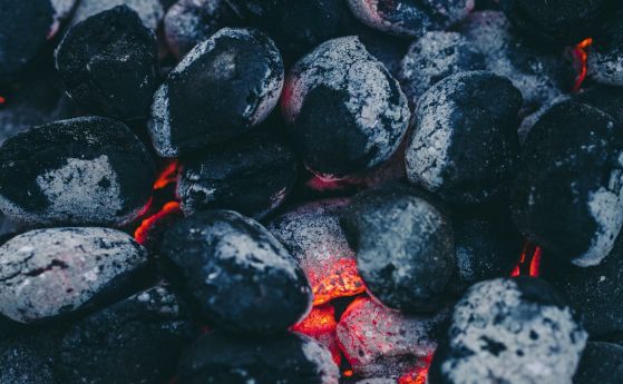 В Полша се извиха километрични опашки за въглища