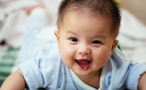 В японски дом за възрастни ''наеха'' бебета за компания