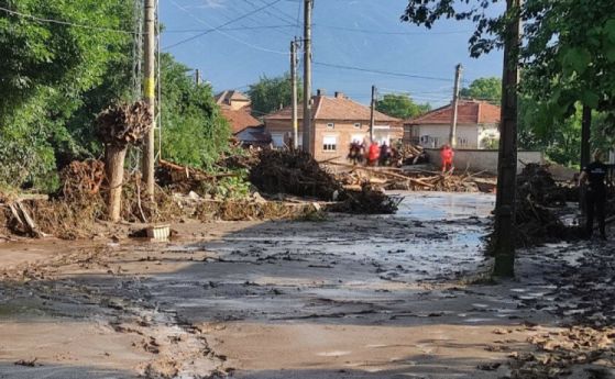Тонове тиня и дървета в Богдан и Каравелово, още няма ток