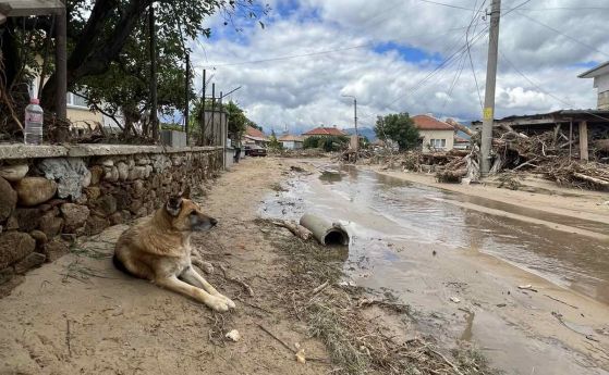 След пороя: Поне 200 къщи са наводнени в карловски села - Общество