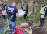 Трупове на убити цивилни със следи от изтезания откриха в освободено украинско село