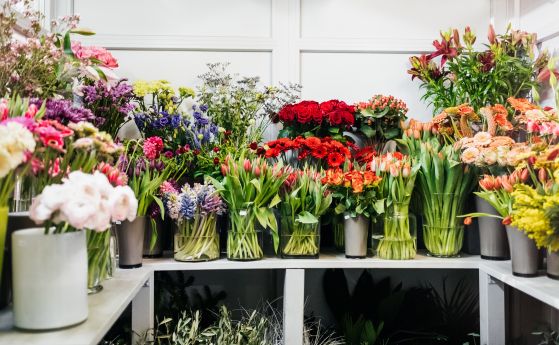 Цветарите негодуват на първия учебен ден след като редица училища