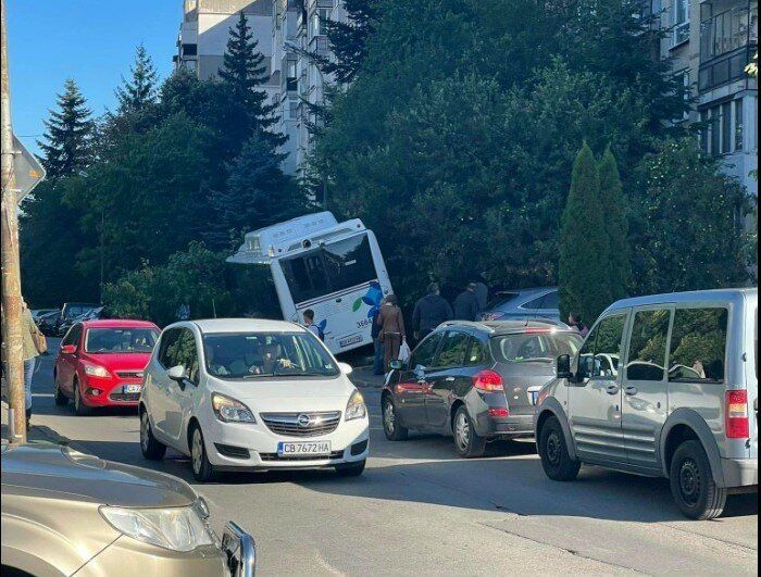 Автобус на градския транспорт се заби в дърво в близост