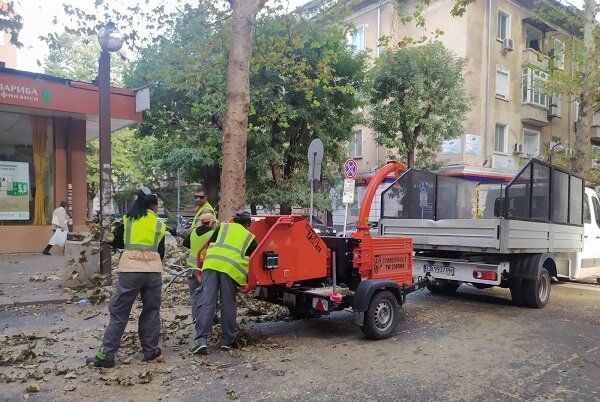Столична община се включва в почистването на Бургас от паднали
