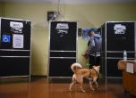Вяло гласуване на изборите за парламент в Италия
