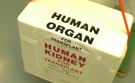 трансплантация на органи