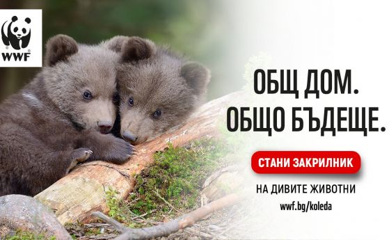 WWF Жива планета