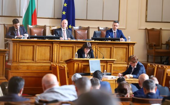 Росица Велкова на изслушване в Народното събрание