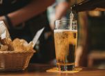 Учени: Бирата е най-опасната алкохолна напитка за мозъка
