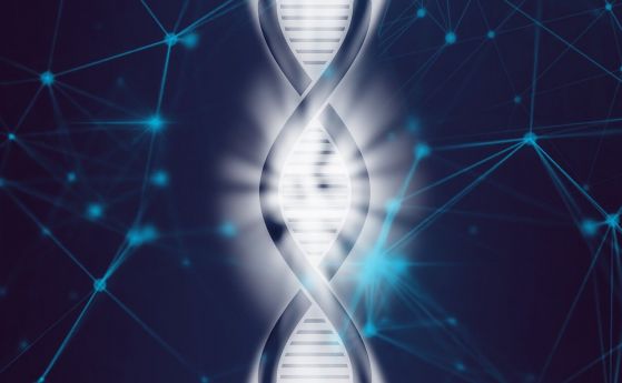 Познаването на човешкия геном позволява да се оцени риска от заболяване