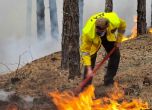 Огромен пожар от гръцката част на Родопите навлезе в България