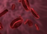 Пробив: преляха на човек отгледани в лаборатория червени кръвни клетки