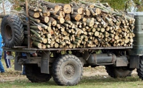 Нова мода: Горски и полицаи търсят незаконни дърва за зимата по дворовете