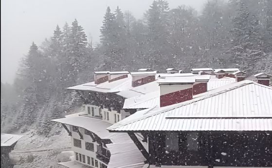 Първи сняг заваля на много места в страната