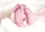 9 бебета предстои да се родят по инвитро програмата на Столична община
