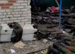 Украйна ще разследва видео с разстрел на най-малко 11 руски военнопленници