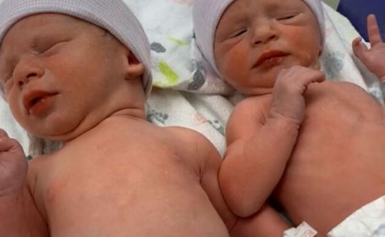 Родиха се близнаци от ембриони, замразени преди 30 години
