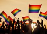 Държавната дума забрани гей пропагандата със закон
