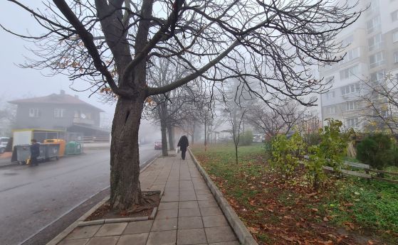 Мъгливо време