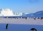 Спасиха 4 жени пощальони от снежна буря в най-далечната поща в света - на Антарктида