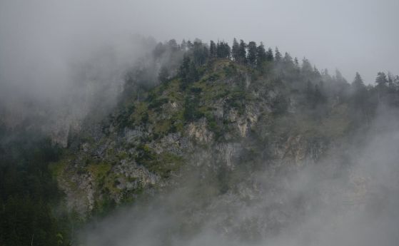 Жълт код заради гъсти мъгли по поречието на Дунава