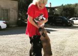Сюжет ала ''101 далматинци'' с Лейди Гага -  крадецът на кучетата ѝ осъден на 21 години затвор
