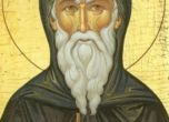 Св. Патапий станал монах в пустинята