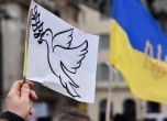 Розова мечта ли е възможността за преговори между Русия и Украйна?
