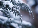 Дъжд с поледици и нов сняг: още 10-15 см снежна покривка във Видин, Монтана и София област