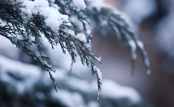 Дъжд с поледици и нов сняг: още 10-15 см снежна покривка във Видин, Монтана и София област