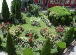Розариумът в ботаническата градина в София.