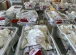 11 бебета се родиха навръх Коледа в Майчин дом